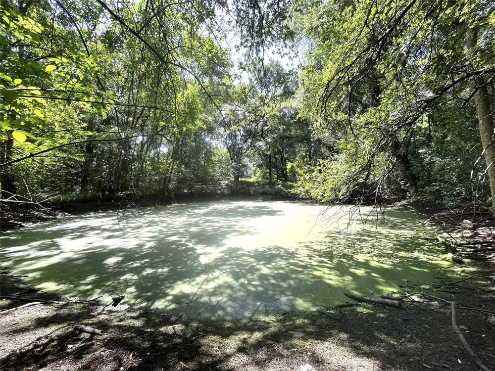 1229 Epps Road Palmer, TX 75152
