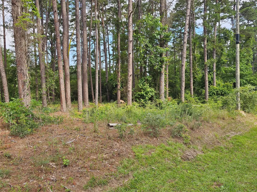 Green Meadow Trail Holly Lake Ranch, TX 75765