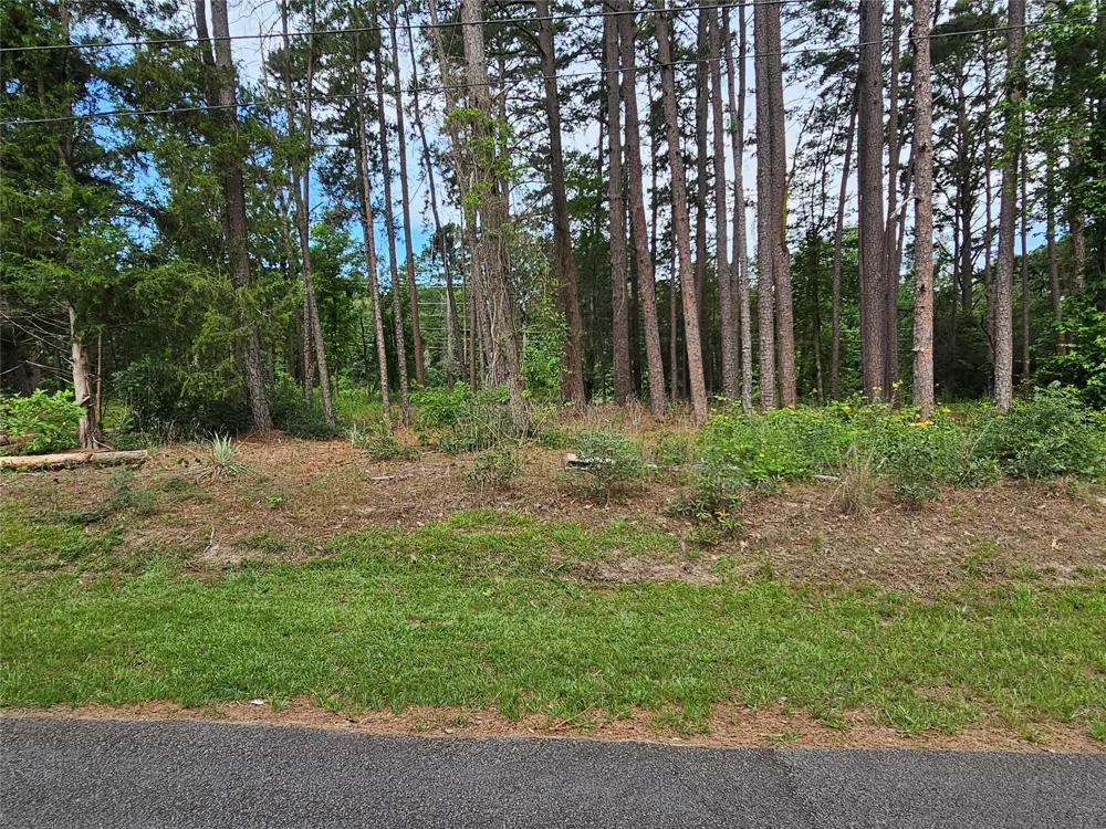 Green Meadow Trail Holly Lake Ranch, TX 75765