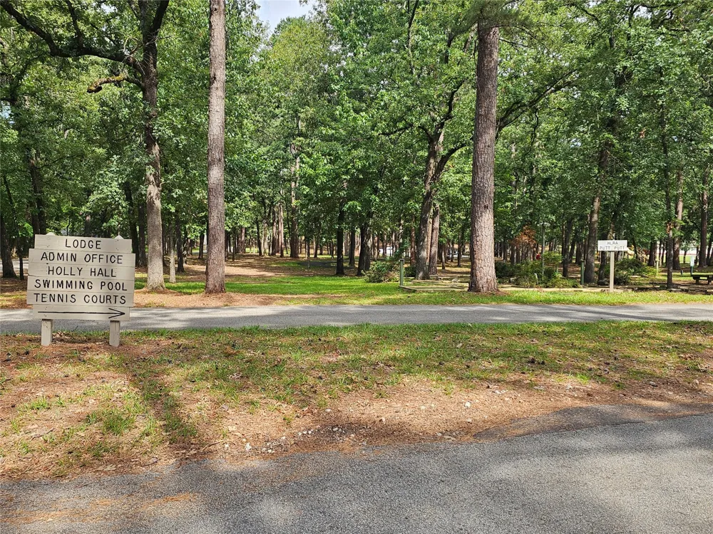 Green Meadow Trail Holly Lake Ranch, TX 75765