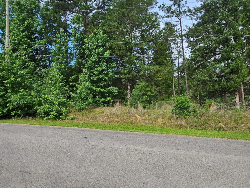 Green Meadow Trail Holly Lake Ranch, TX 75765