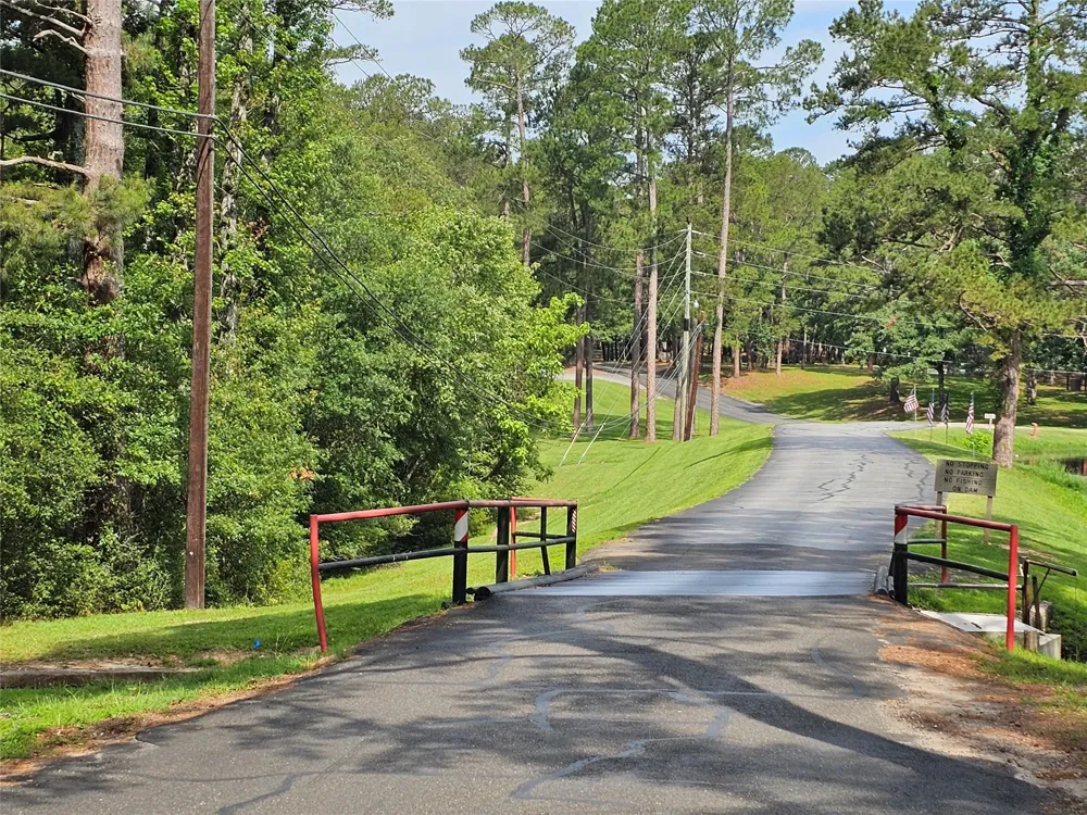 Green Meadow Trail Holly Lake Ranch, TX 75765