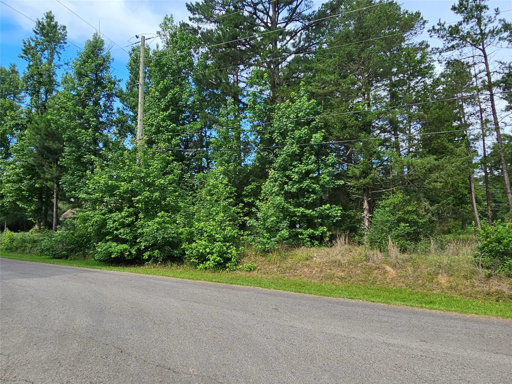 Green Meadow Trail Holly Lake Ranch, TX 75765