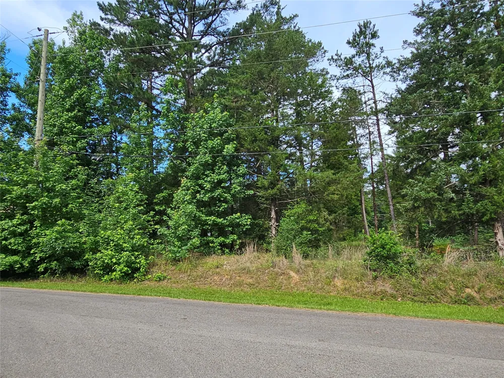 Green Meadow Trail Holly Lake Ranch, TX 75765
