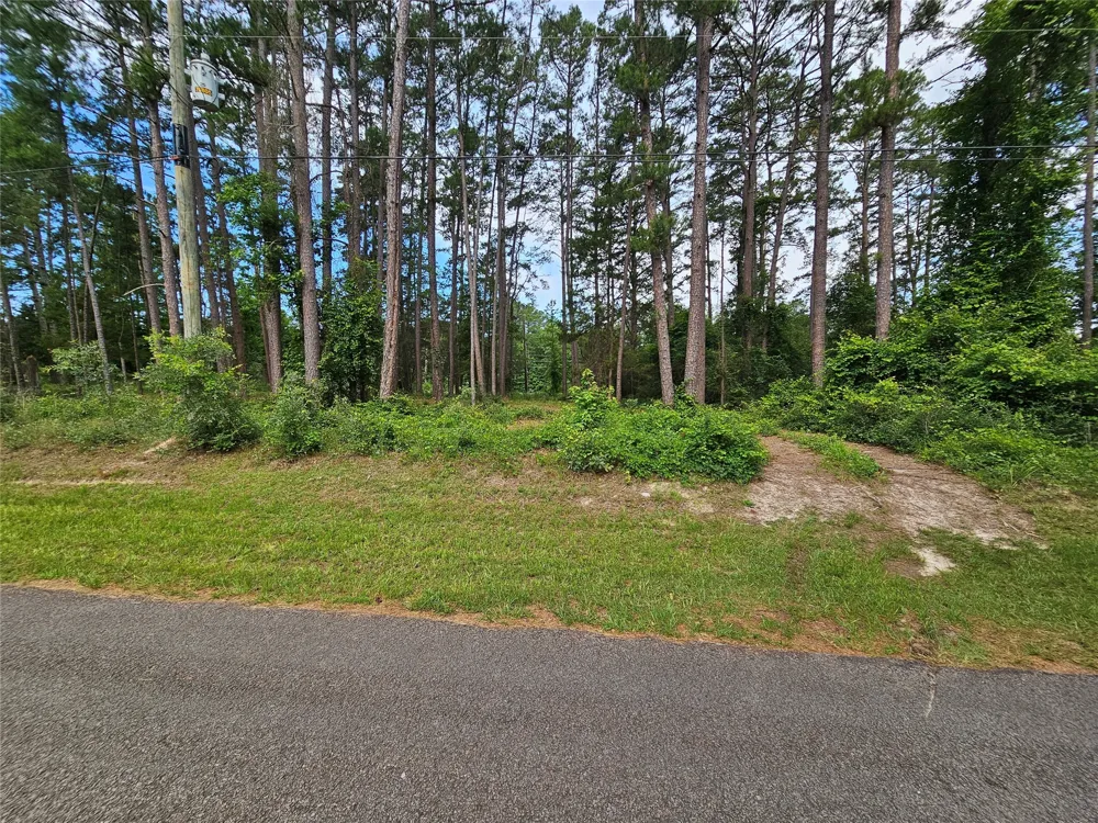 Green Meadow Trail Holly Lake Ranch, TX 75765