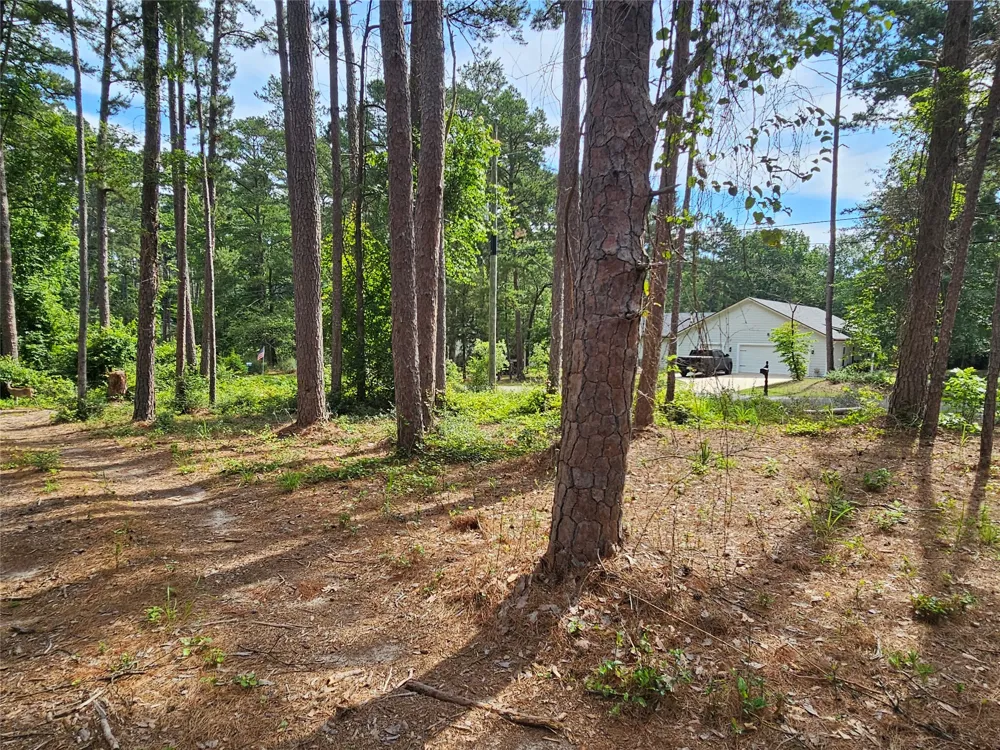 Green Meadow Trail Holly Lake Ranch, TX 75765