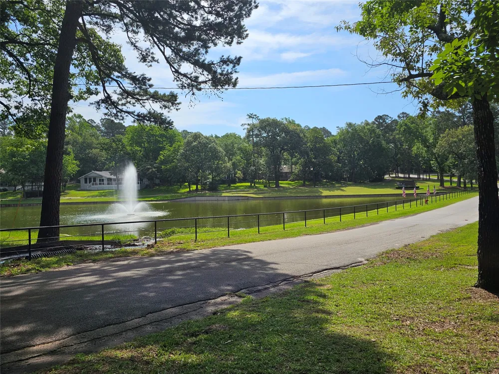 411 Green Meadow Trail Holly Lake Ranch, TX 75765