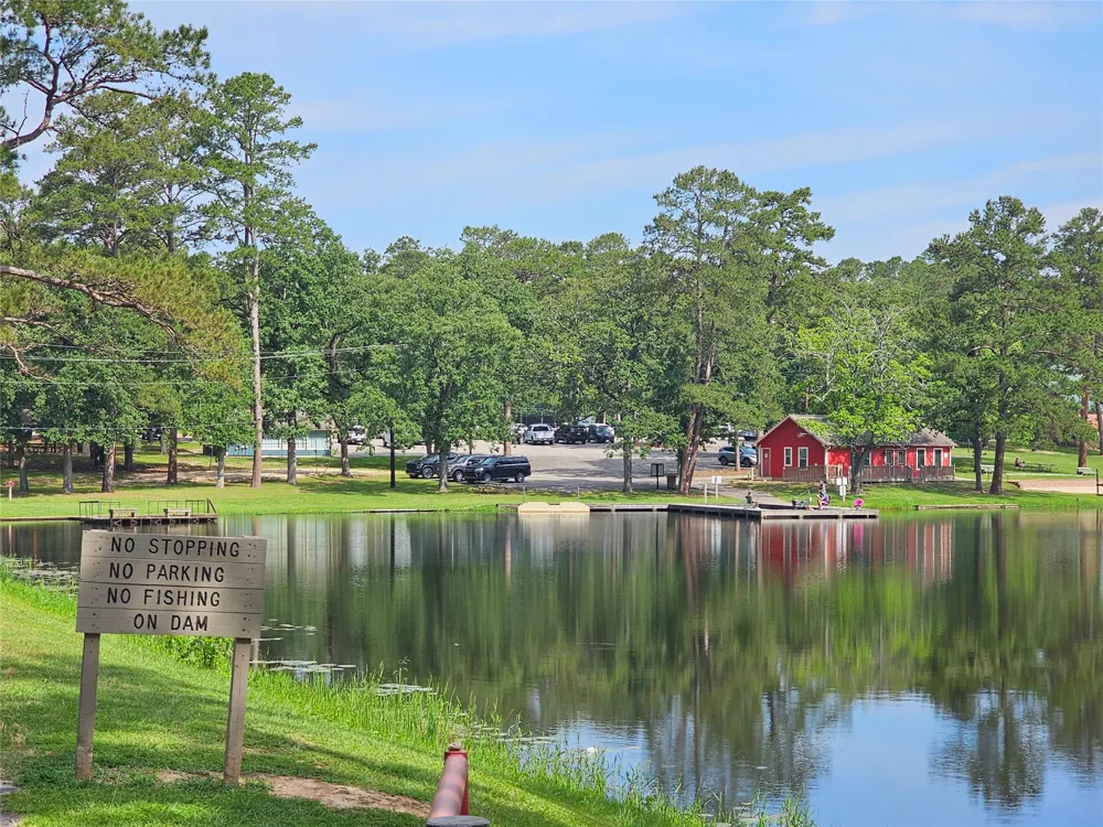 411 Green Meadow Trail Holly Lake Ranch, TX 75765