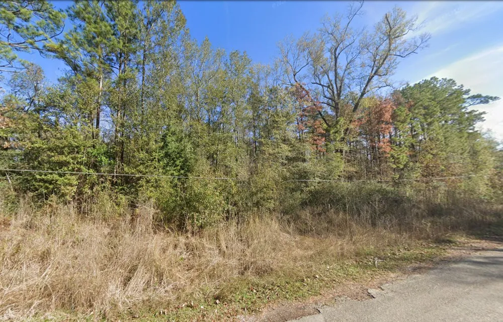 20 Pines Road New Caney, TX 77357