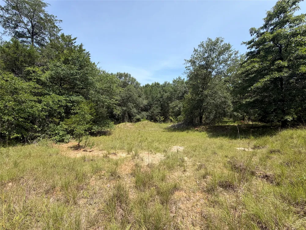 Hare Lane #11 Acre Greenville, TX 75402