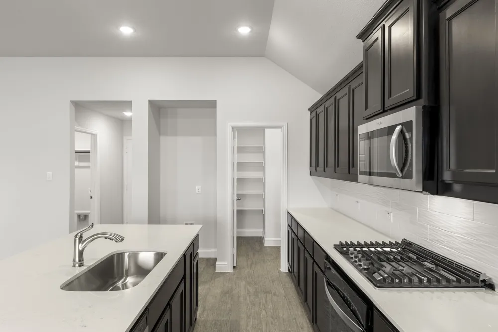 121 Whistling Duck Drive Balch Springs, TX 75181