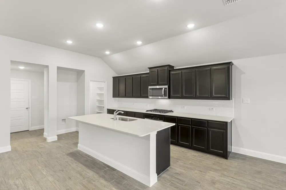 121 Whistling Duck Drive Balch Springs, TX 75181