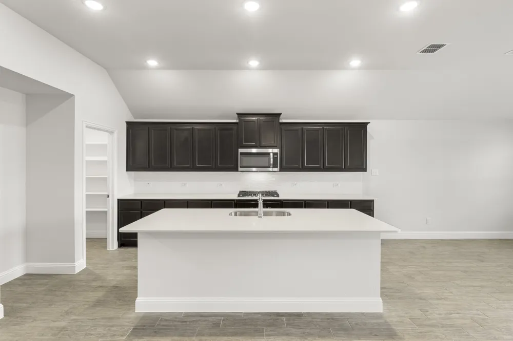 121 Whistling Duck Drive Balch Springs, TX 75181