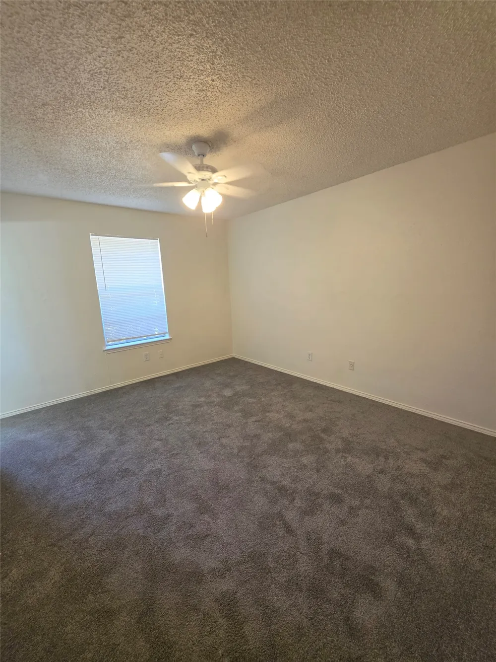 216 Tejas Drive Glenn Heights, TX 75154