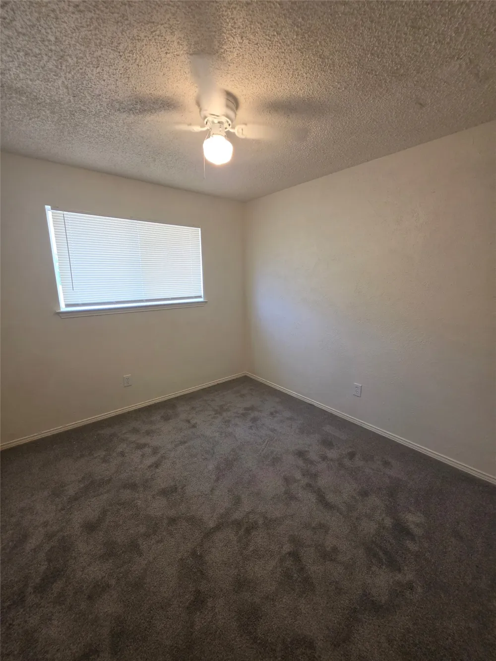 216 Tejas Drive Glenn Heights, TX 75154
