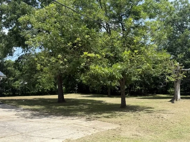 131 SE 7th Street Cooper, TX 75432