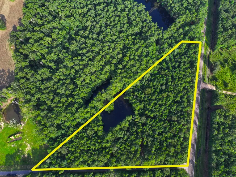 3 FM 787 Saratoga, TX 77585