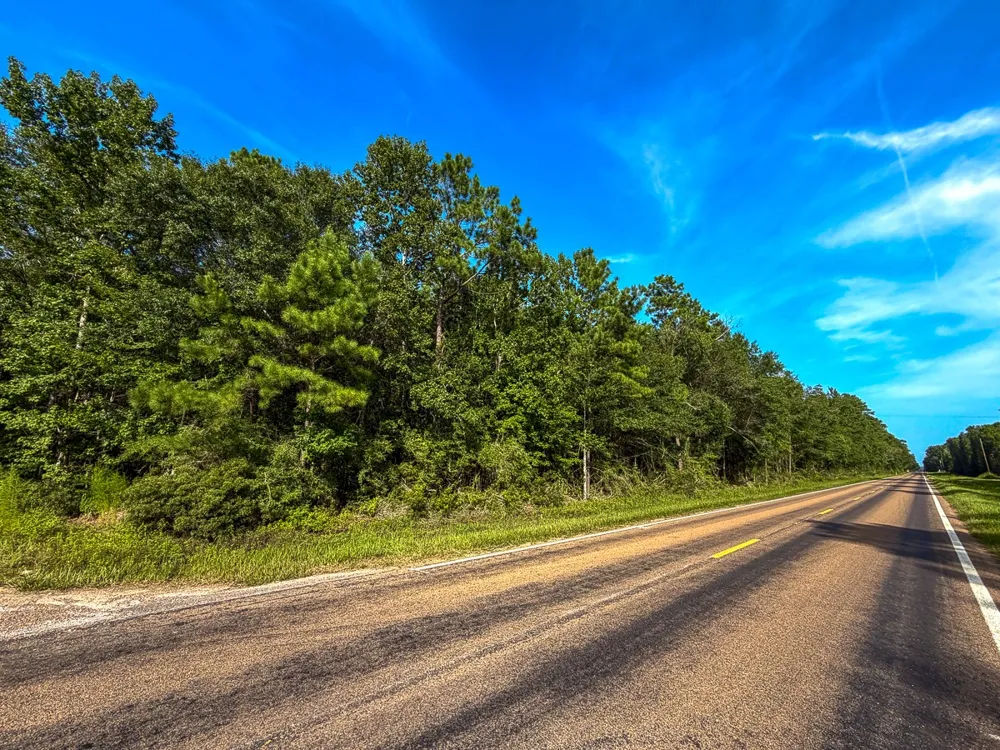 3 FM 787 Saratoga, TX 77585
