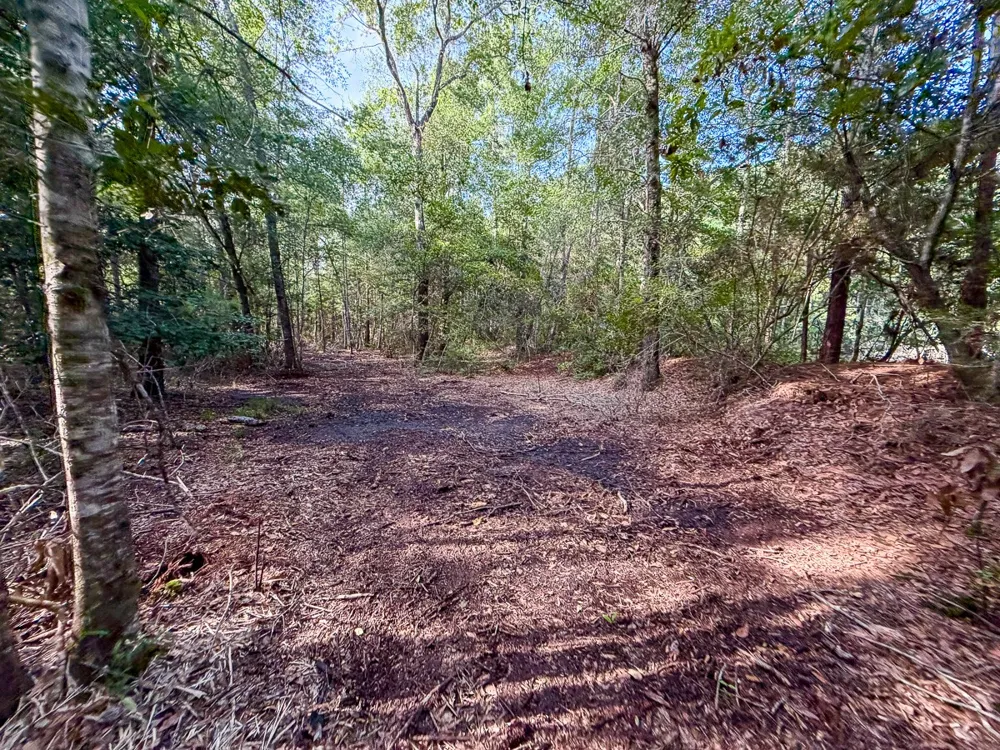 3 FM 787 Saratoga, TX 77585