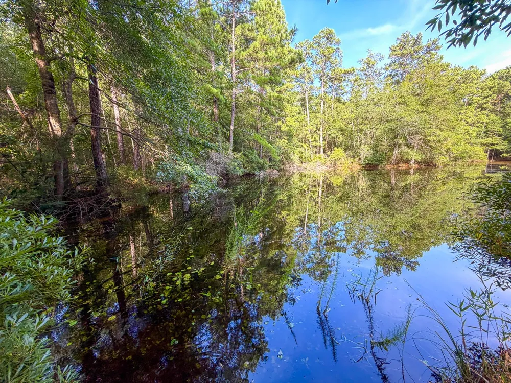 3 FM 787 Saratoga, TX 77585