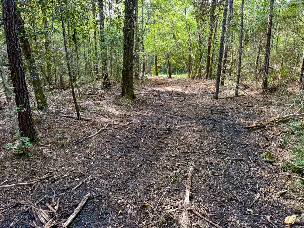 3 FM 787 Saratoga, TX 77585