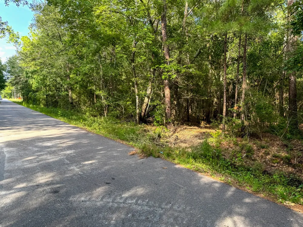 3 FM 787 Saratoga, TX 77585