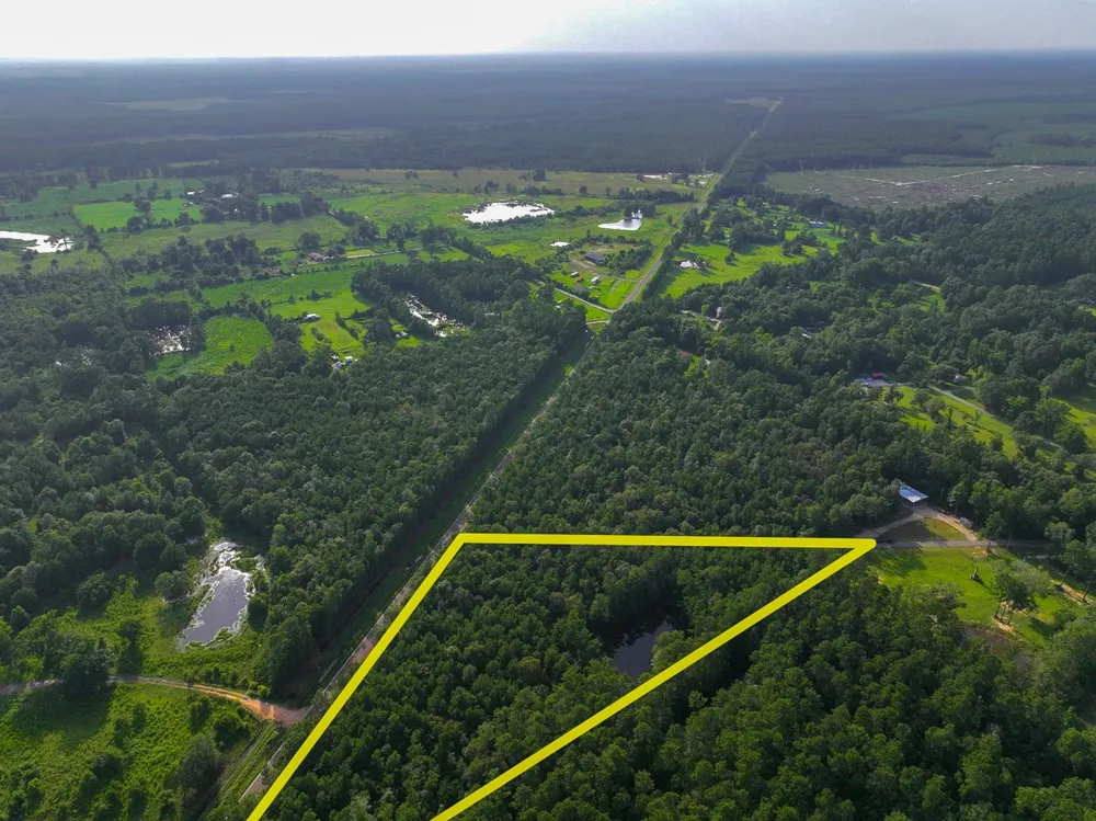 3 FM 787 Saratoga, TX 77585
