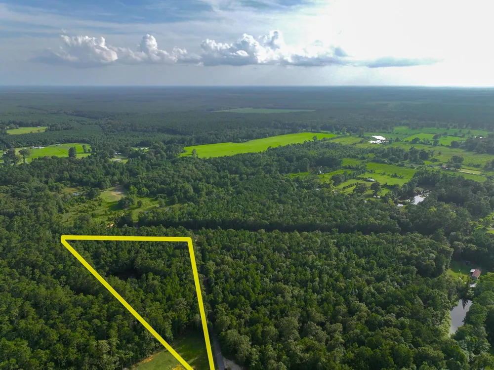 3 FM 787 Saratoga, TX 77585