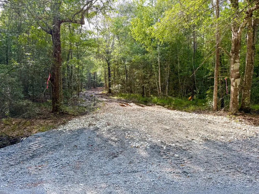 8 FM 787 Saratoga, TX 77585