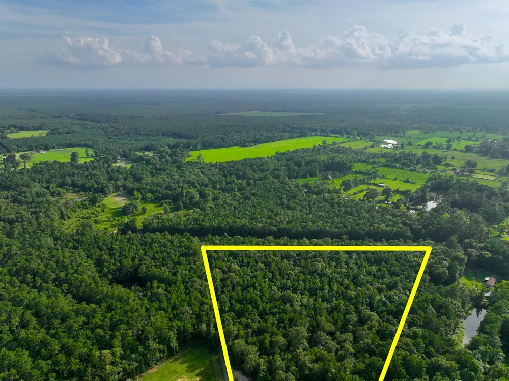 8 FM 787 Saratoga, TX 77585