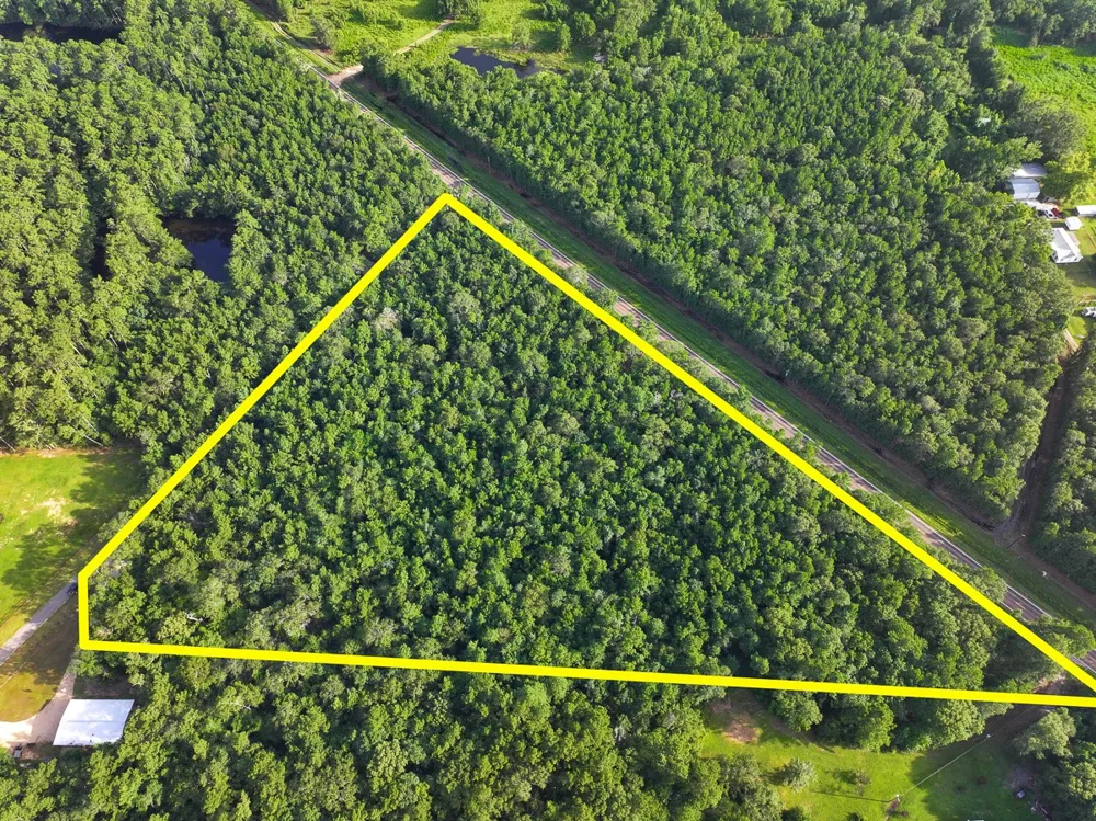 8 FM 787 Saratoga, TX 77585