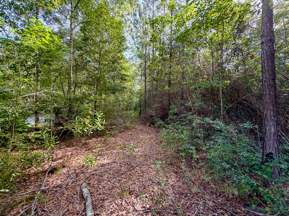 8 FM 787 Saratoga, TX 77585