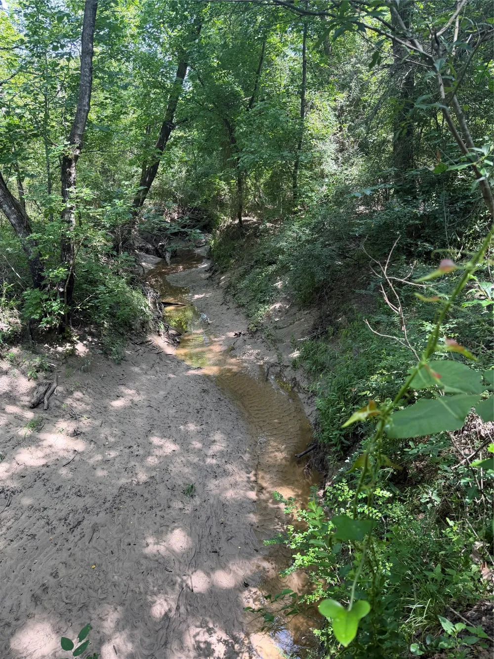 Hare Lane #6 Acre Greenville, TX 75402