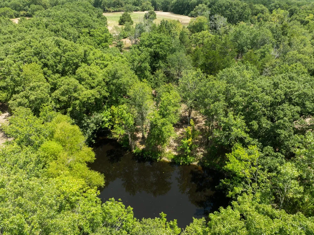 Hare Lane #6 Acre Greenville, TX 75402