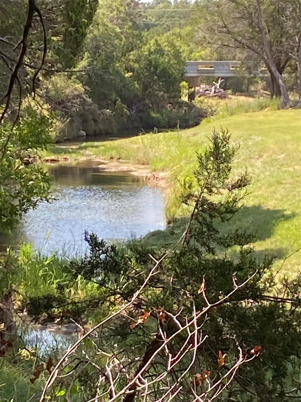 FM Tuscola, TX 79562