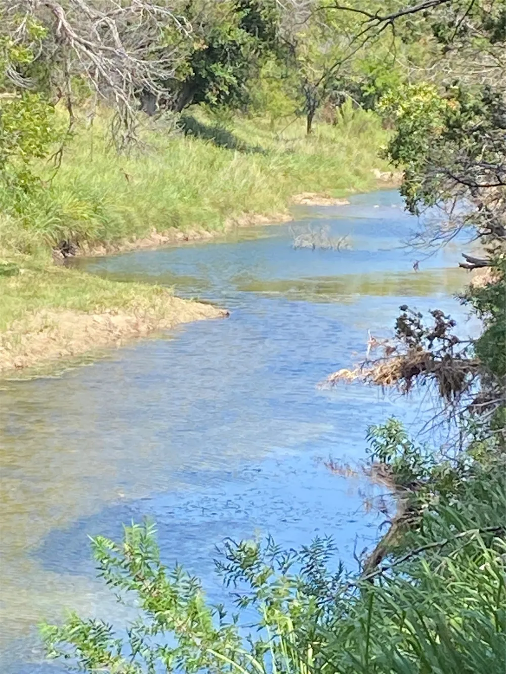 FM Tuscola, TX 79562