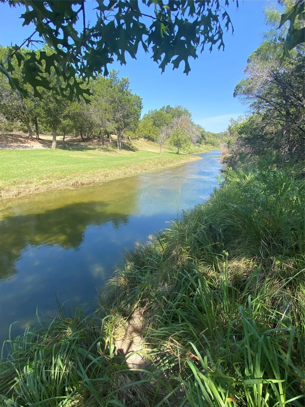 FM Tuscola, TX 79562