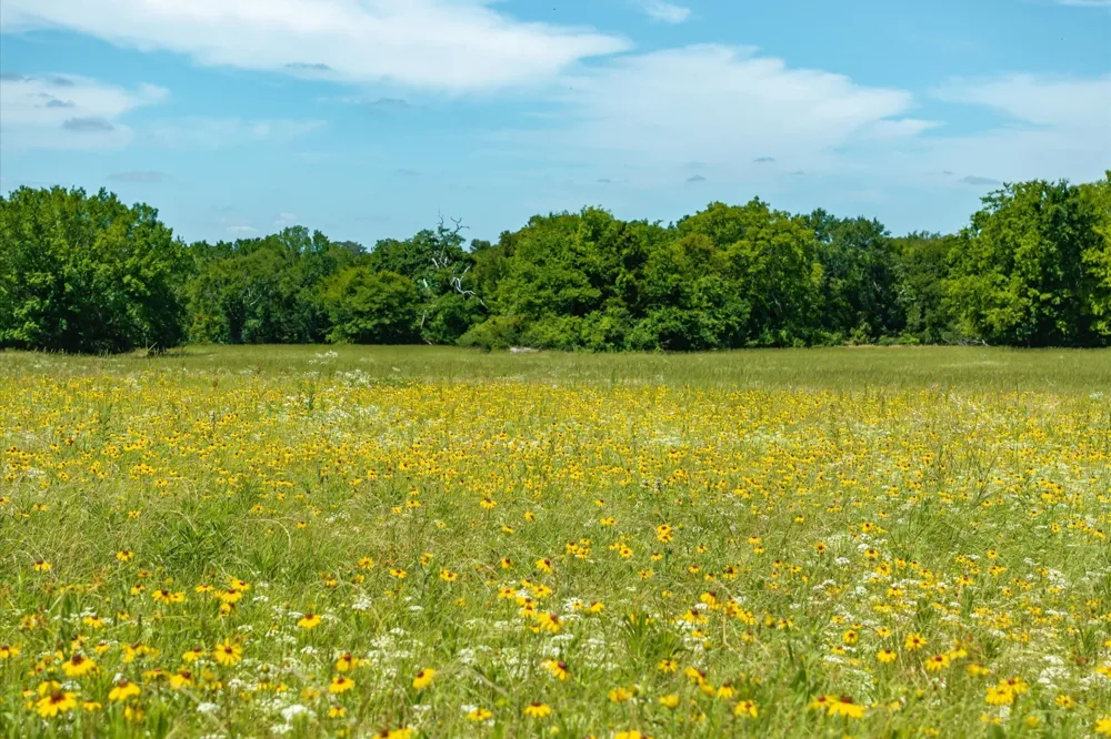 State Hwy 19 Emory, TX 75440