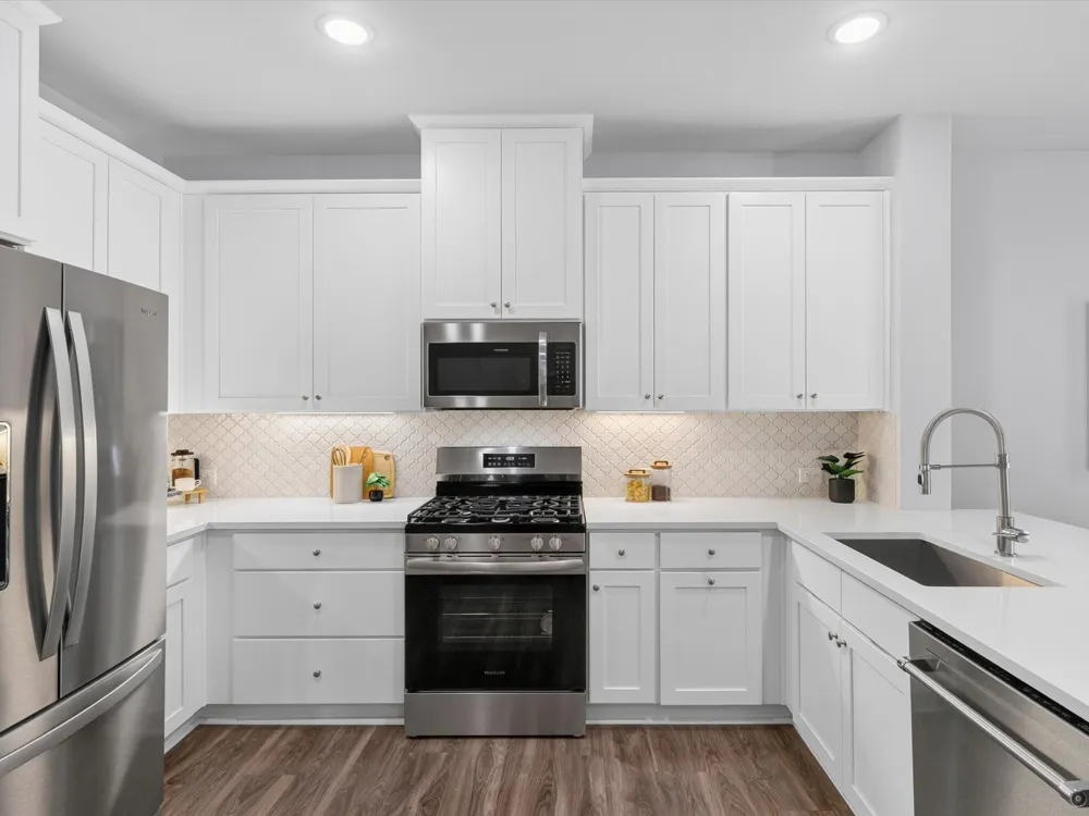 1423 Silver Marten Trail Arlington, TX 76005