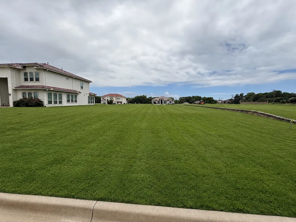 116 Syed Drive Murphy, TX 75094