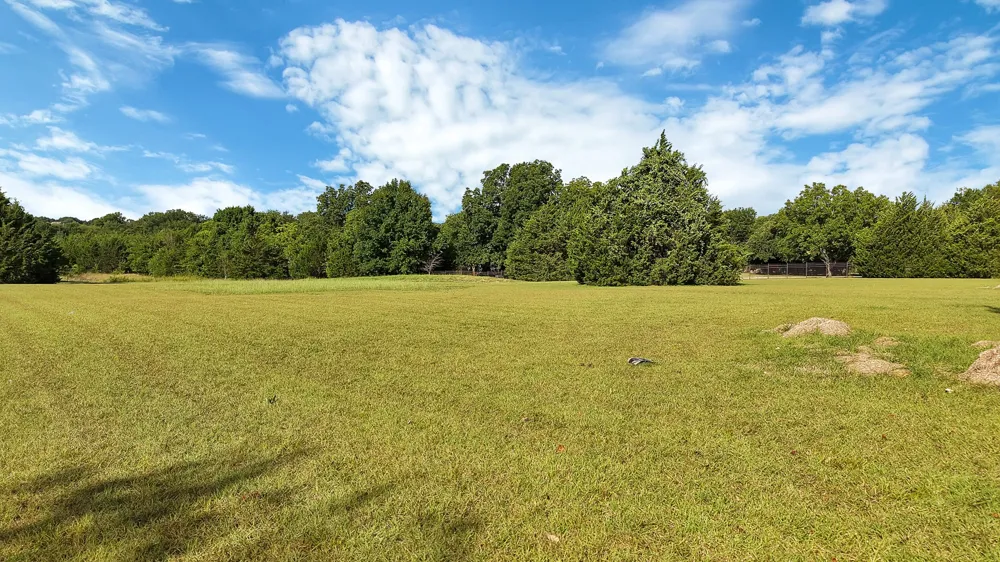 County Road 317 McKinney, TX 75069