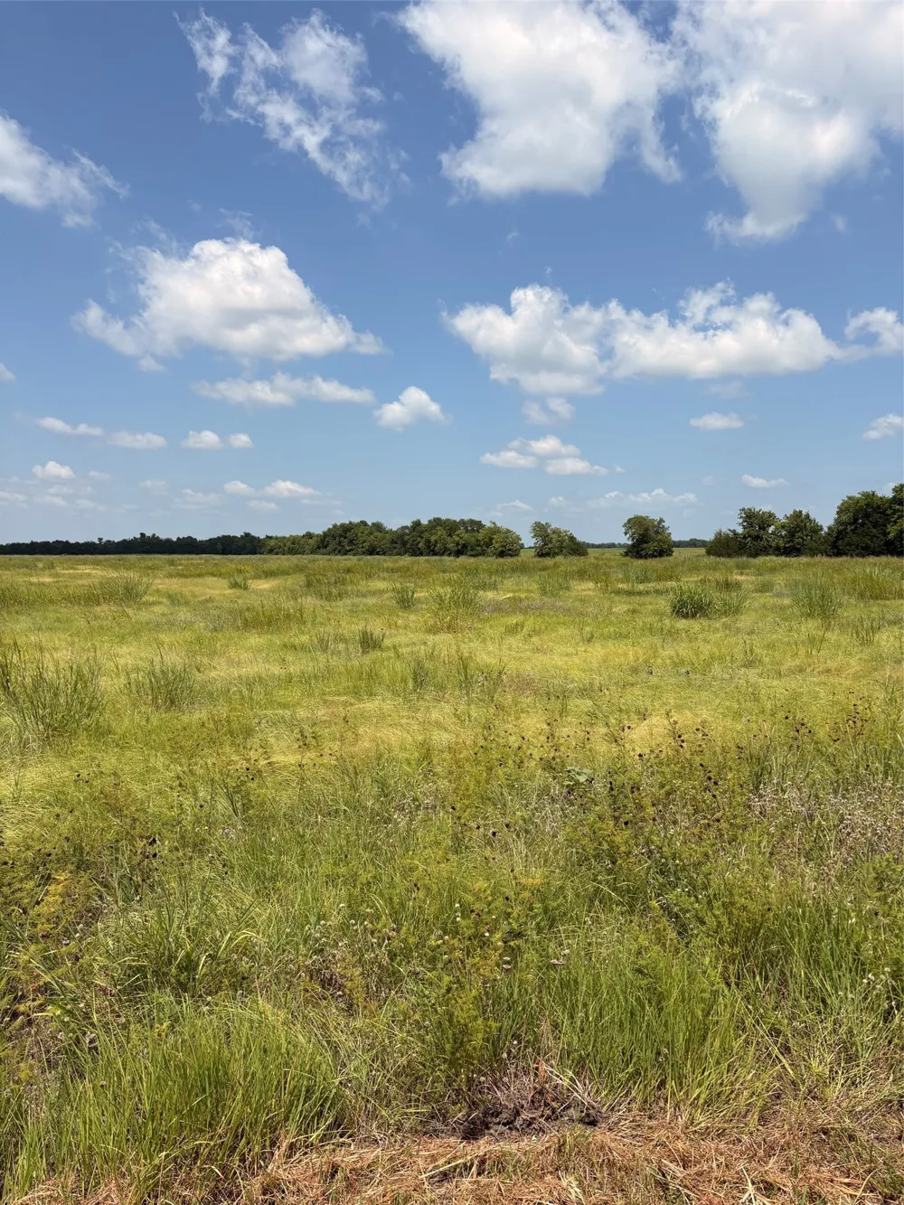 County Road 3020 Bonham, TX 75418