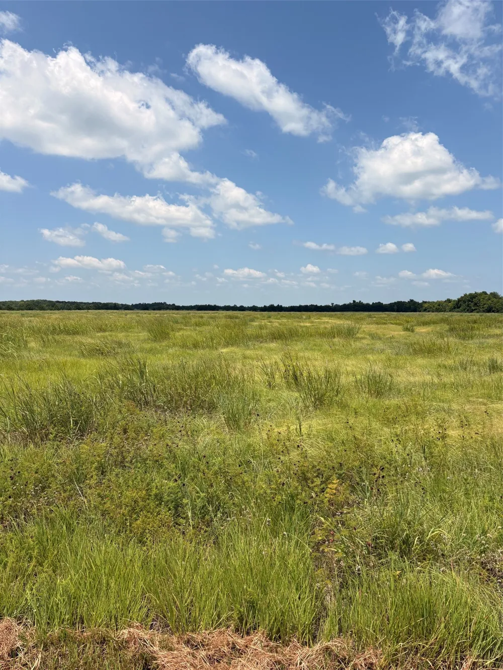 County Road 3020 Bonham, TX 75418