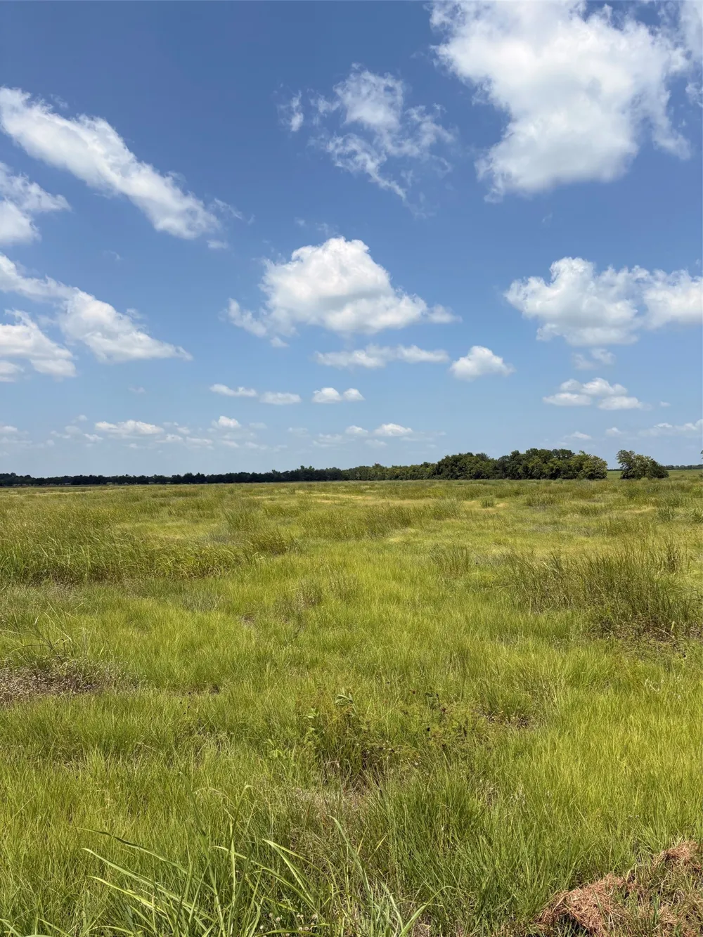 County Road 3020 Bonham, TX 75418