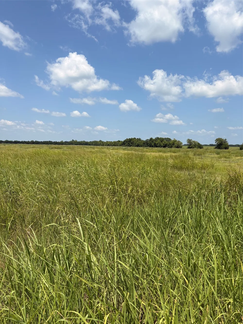 County Road 3020 Bonham, TX 75418
