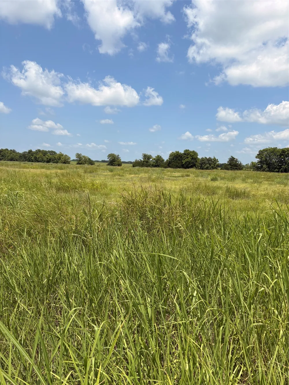County Road 3020 Bonham, TX 75418