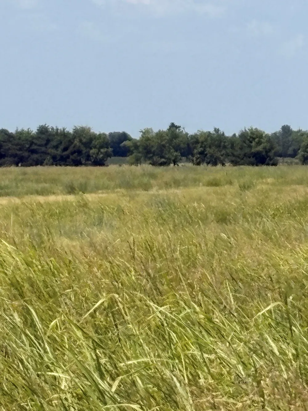 County Road 3020 Bonham, TX 75418