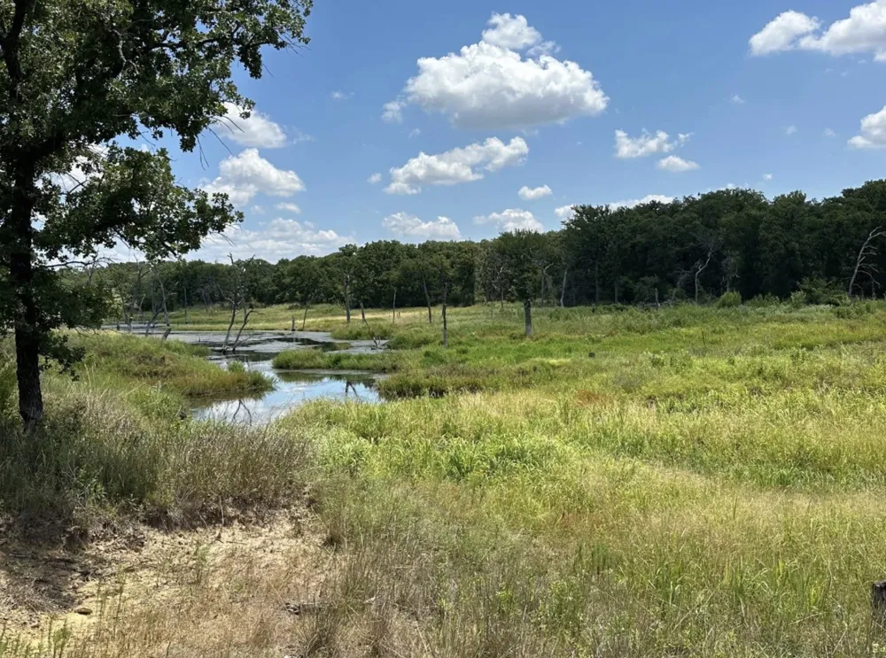 118 Elm Cove Sunset, TX 76270