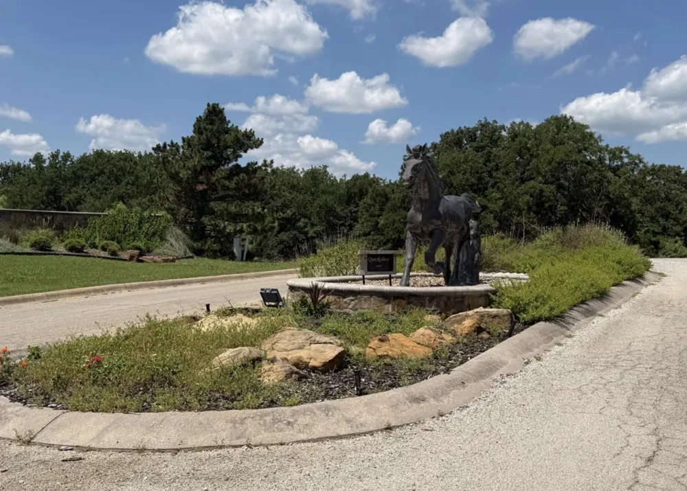 118 Elm Cove Sunset, TX 76270