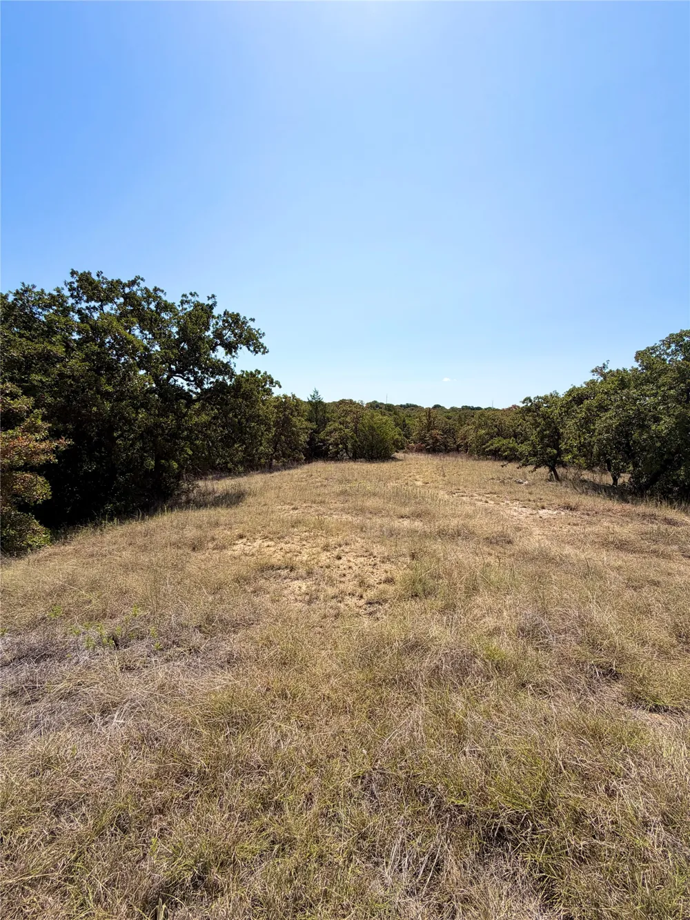 118 Elm Cove Sunset, TX 76270